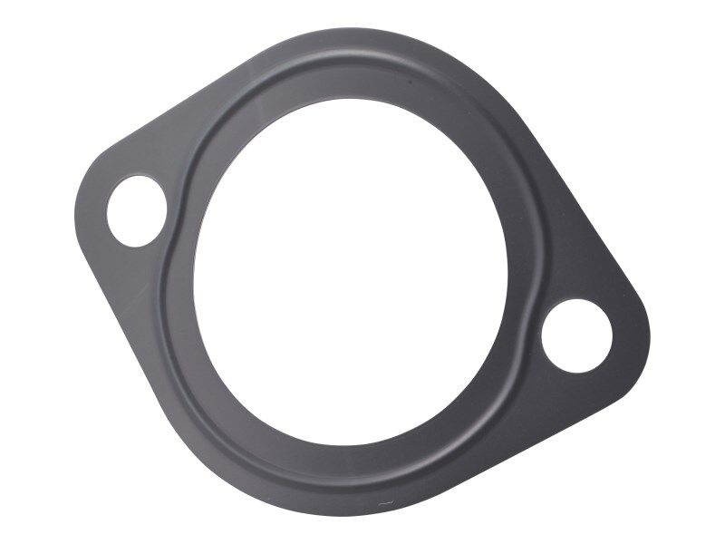70002326 | GASKET, THERMOSTAT