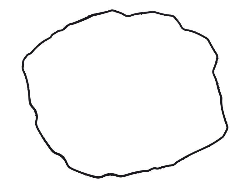 70021793 | VALVE COVER GASKET