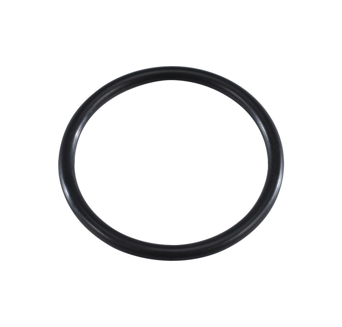 70025306 | O-RING, WATER PUMP TO ENGINE