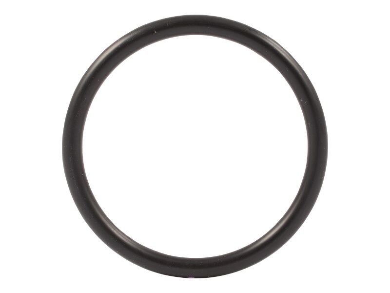 70025307 | O-RING, WATER PUMP TO THERM HO