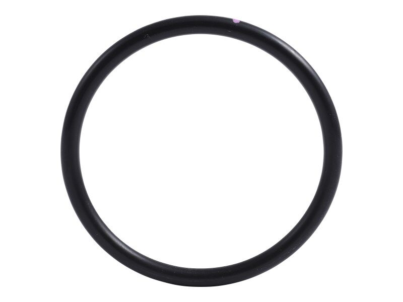 70025308 | O-RING, THERMOSTAT HOUSING