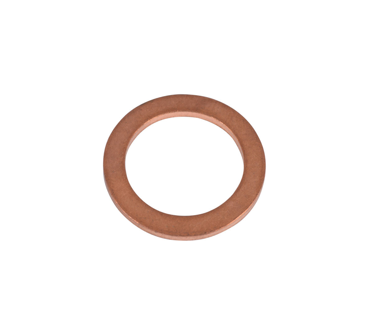 DTZ01118693 | DTZ-WASHER/FUEL LINE
