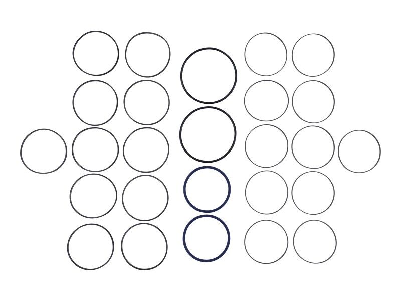 GENIE-77520 | HS-SEAL KIT, SWIVEL
