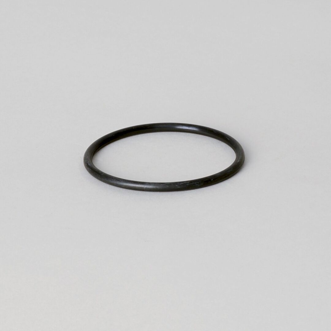P160125 | D/S,O-RING, BYPASS VALVE SEAL