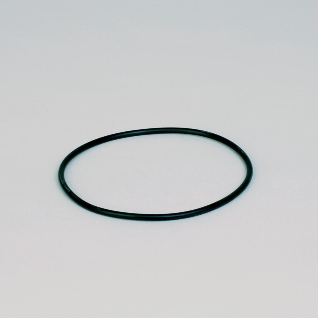 P160137 | D/S,O-RING, HYDRAULIC