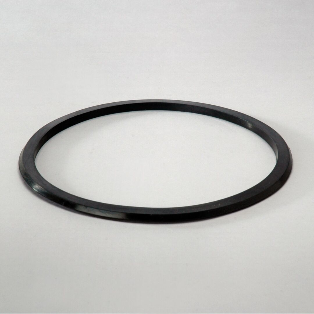 P160234 | D/S,SEAL, HYDRAULIC