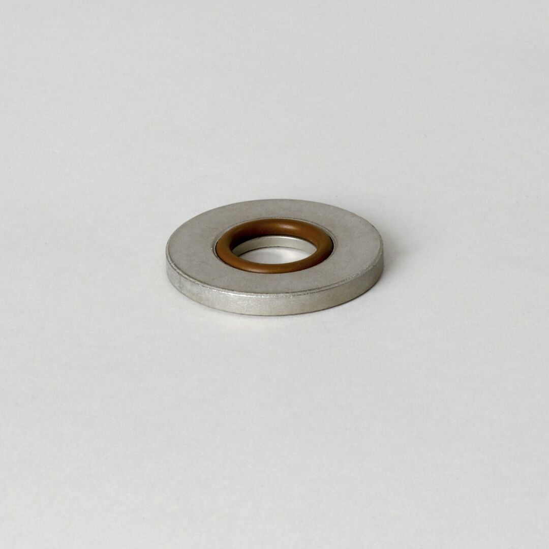 P161852 | D/S,GASKET WASHER