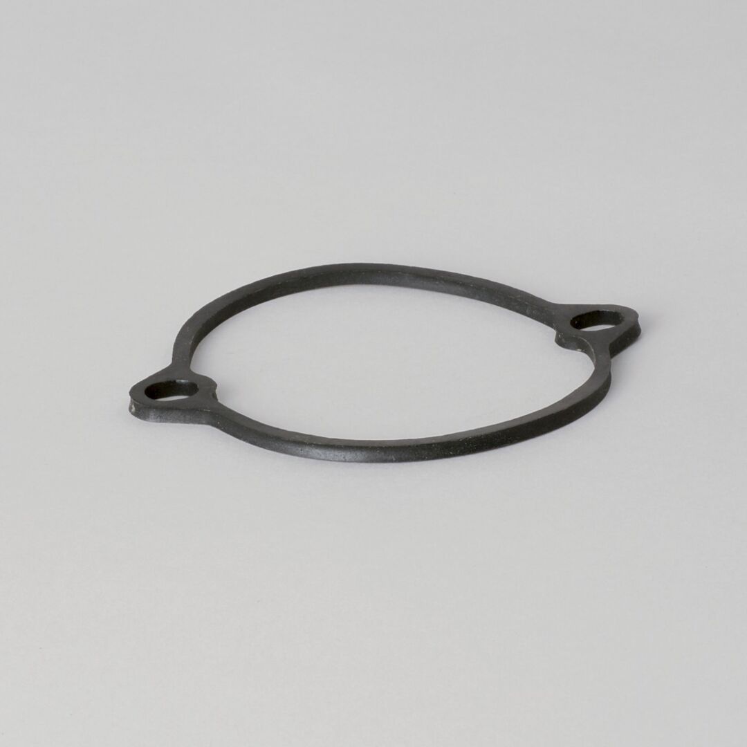 P174035 | D/S,GASKET, HYDRAULIC