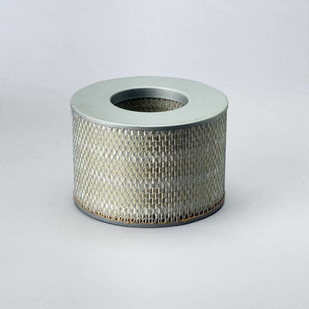 P500125 | Donaldson P500125 Primary Air Filter