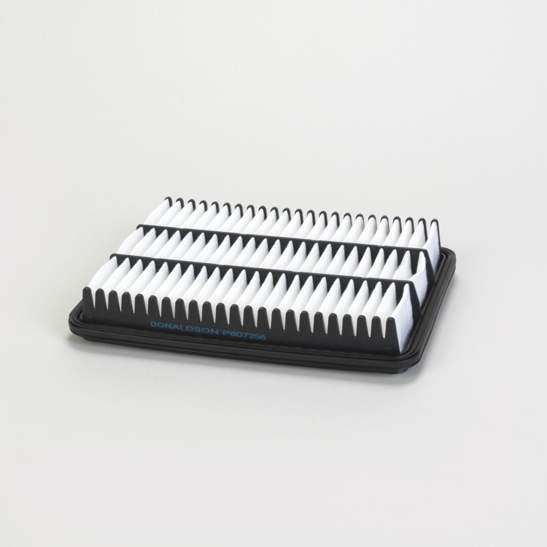 P607256 | Donaldson P607256 Ventilation Air Filter