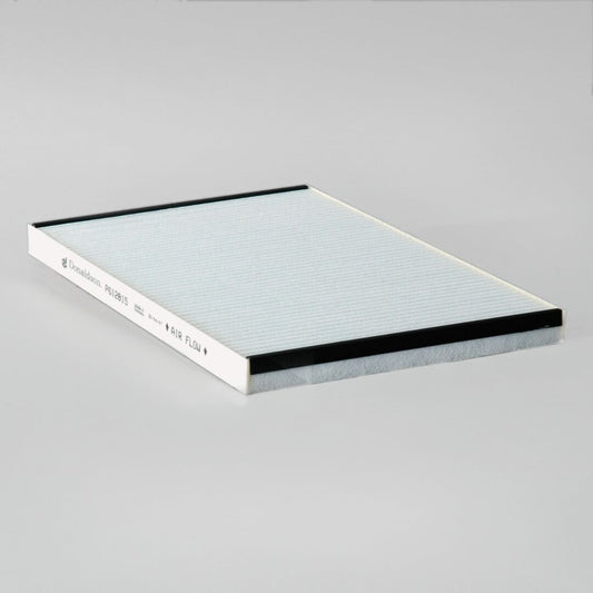 P612815 | Donaldson P612815 Ventilation Air Filter