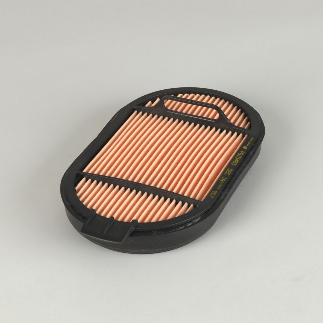 P615493 | Donaldson P615493 Safety Air Filter