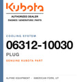 Genuine Kubota plug, part number 06312-10030 — Alpine Equipment