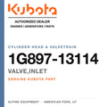 Genuine Kubota valve,inlet, part number 1G897-13114 — Alpine Equipment