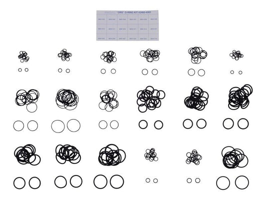 24604083 | O-RING KIT