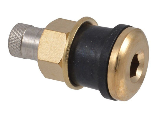 4640113 | VALVE, TIRE