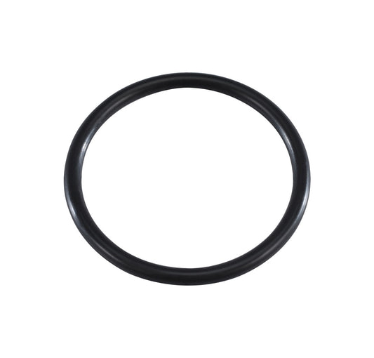 70025306 | O-RING, WATER PUMP TO ENGINE