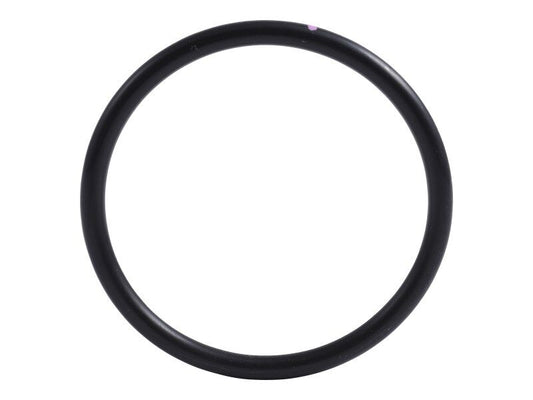 70025308 | O-RING, THERMOSTAT HOUSING