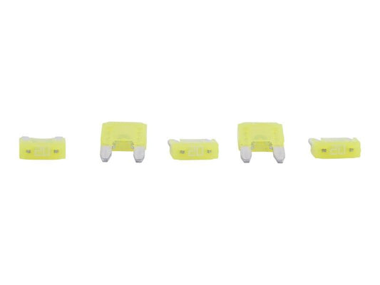 CW062897-005 | CW-FUSE 20AMP 5PK