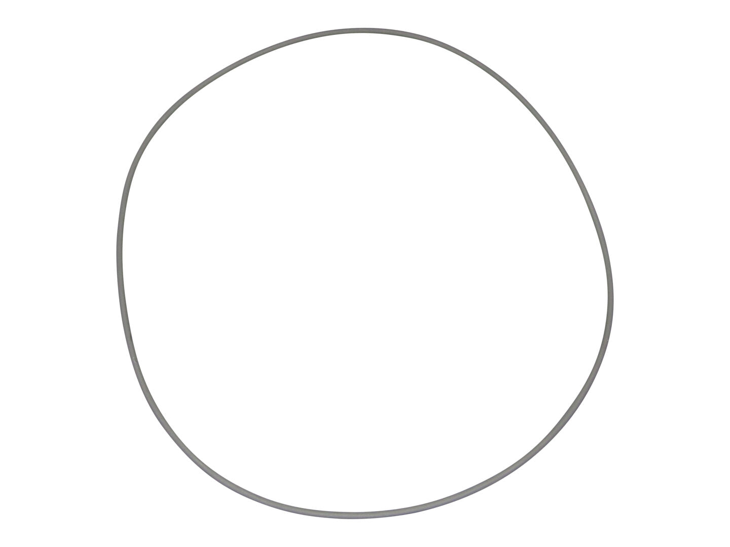 GN7-229-831GT | O-Ring for Dana Axles