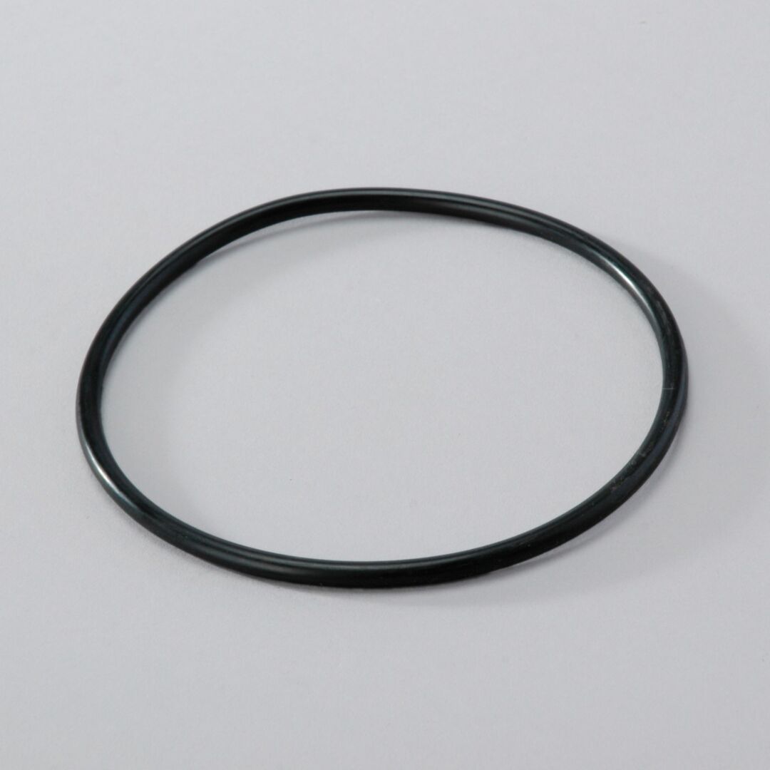 P160016 | D/S,O-RING, HYDRAULIC