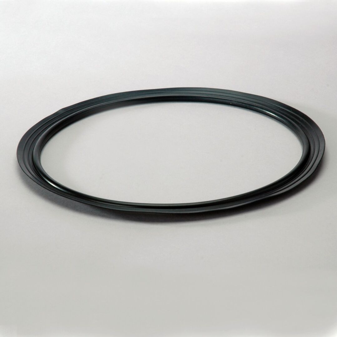P160215 | D/S,SEAL, HYDRAULIC