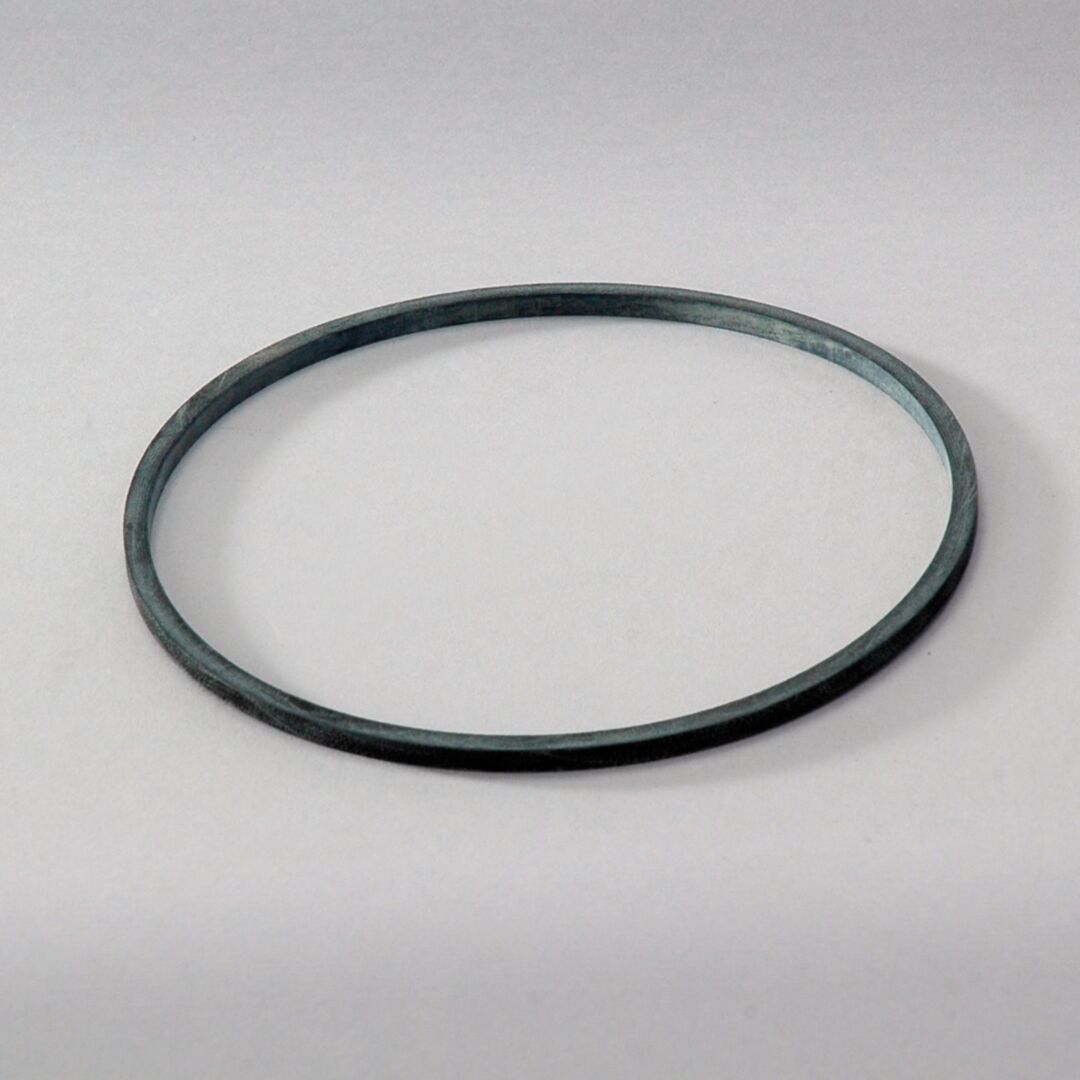 P563976 | D/S,SEAL
