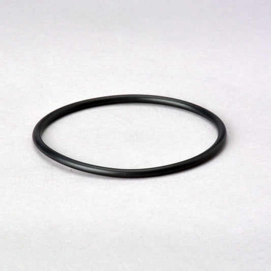P575060 | D/S,O-RING