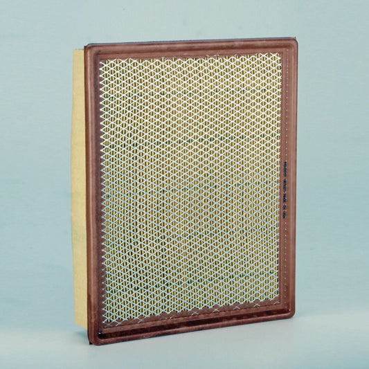 P602657 | Donaldson P602657 Engine Air Filter