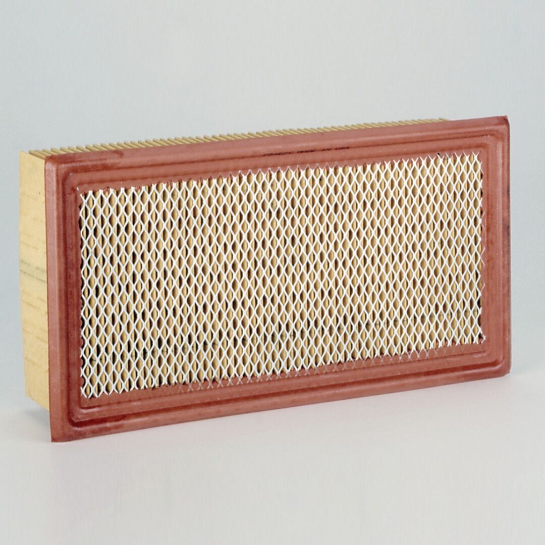 P602658 | Donaldson P602658 Engine Air Filter