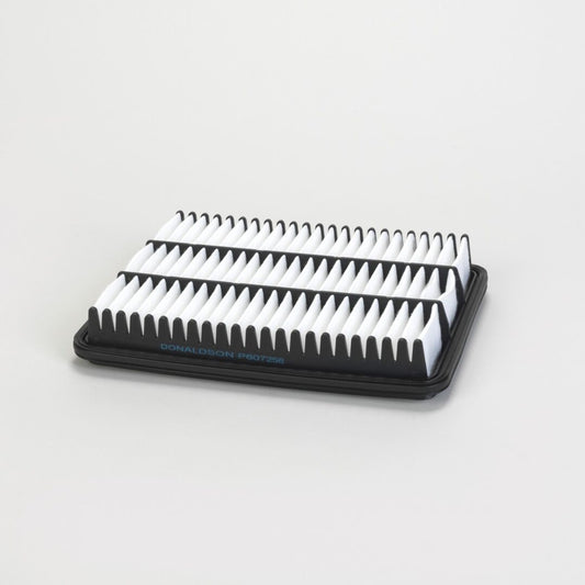 P607256 | Donaldson P607256 Ventilation Air Filter