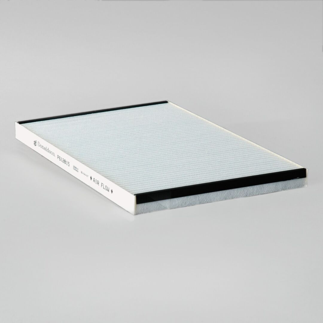 P612815 | Donaldson P612815 Ventilation Air Filter
