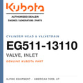 Genuine Kubota valve, inlet, part number EG511-13110 — Alpine Equipment